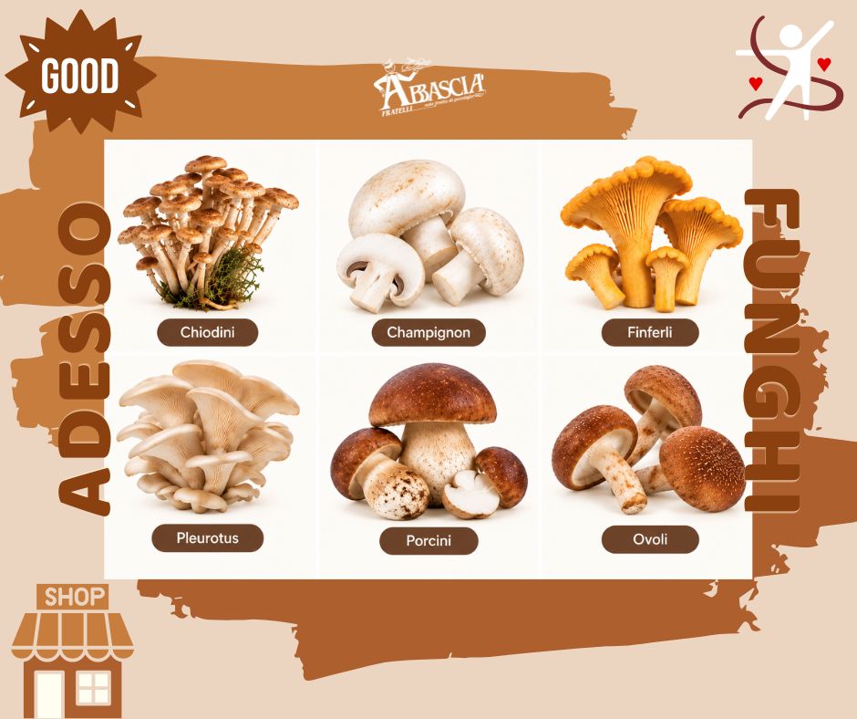 Le 6 principali Varietà di Funghi Eduli